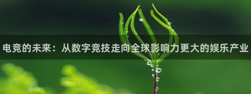 雷火电竞下载官网：电竞的未来：从数字竞技走向全球影响力更大的娱乐产业