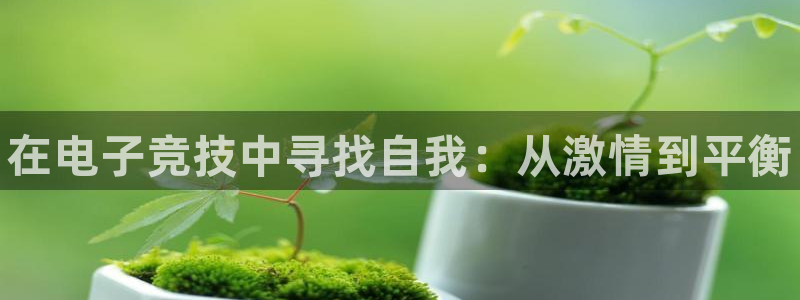 雷火电竞在线：在电子竞技中寻找自我：从激情到平衡
