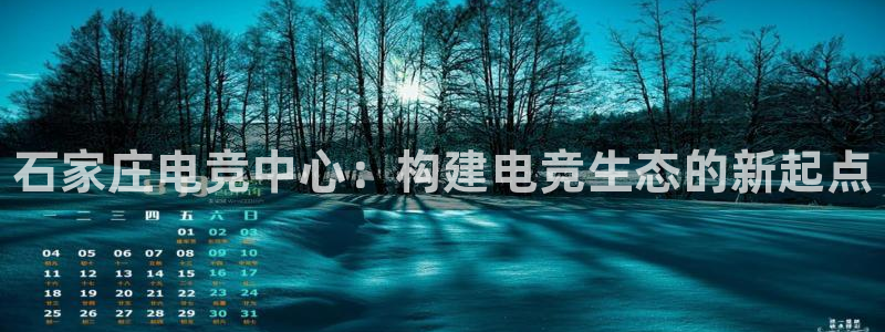 雷火电竞平台：石家庄电竞中心：构建电竞生态的新起点