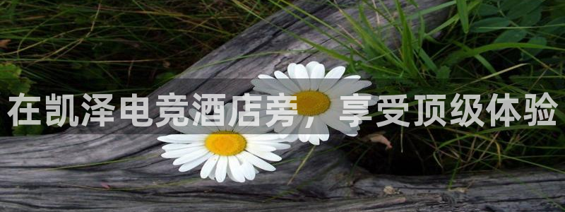 雷火电竞竞技平台官网：在凯泽电竞酒店旁，享受顶级体验