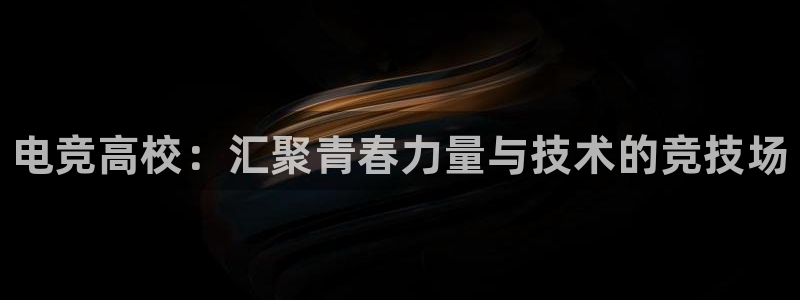 雷火电竞平台登录：电竞高校：汇聚青春力量与技术的竞技场