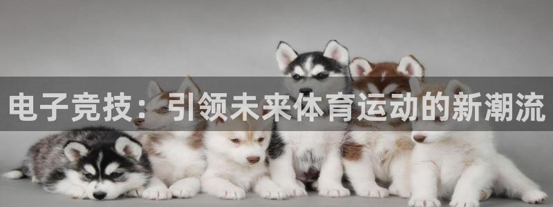 lh1153雷火电竞官网：电子竞技：引领未来体育运动的新潮流
