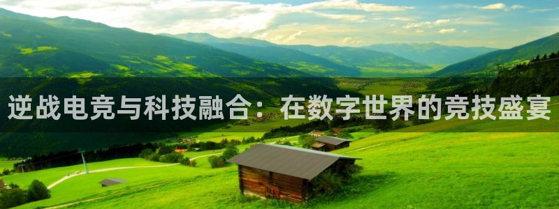 雷火电竞下载官网：逆战电竞与科技融合：在数字世界的竞技盛宴