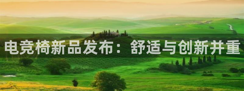 雷火电竞亚洲官网：电竞椅新品发布：舒适与创新并重
