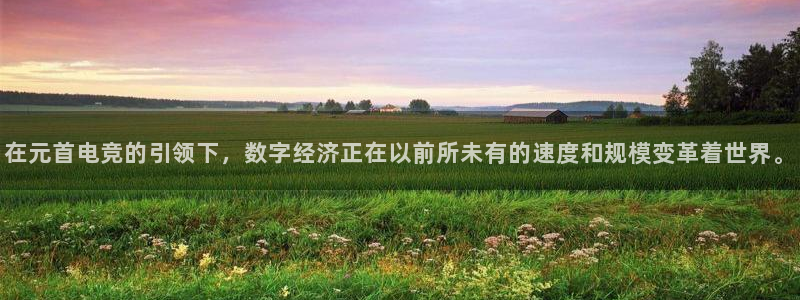 雷火电竞网：在元首电竞的引领下，数字经济正在以前所未有的速度和规模变革着世界。