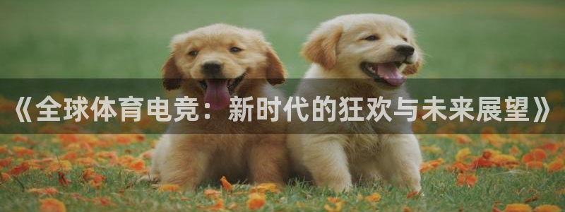雷火电竞网页版登录入口：《全球体育电竞：新时代的狂欢与未来展望》