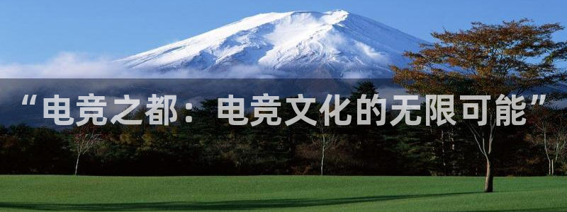 雷火电竞平台：“电竞之都：电竞文化的无限可能”
