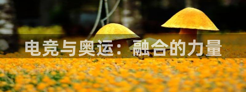 lh1153雷火电竞官网：电竞与奥运：融合的力量
