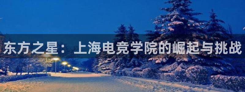 雷火电竞官网app下载：东方之星：上海电竞学院的崛起与挑战
