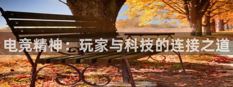 雷火电竞登陆：电竞精神：玩家与科技的连接之道